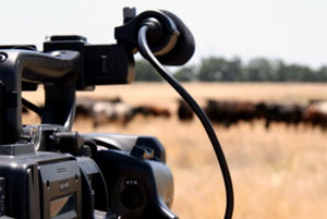 Production �mission de TV